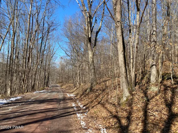 Old Union Rd, Equinunk, PA 18417