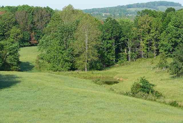 May 31 2007