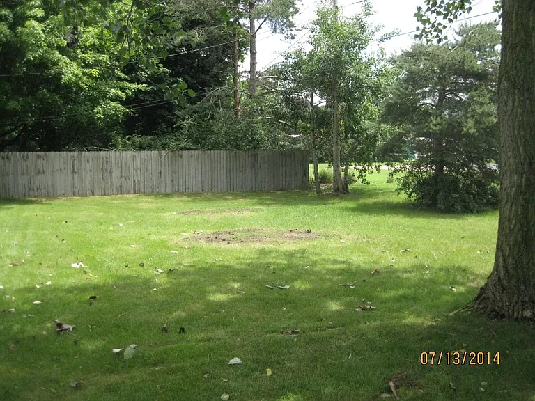 Huge Back Yard