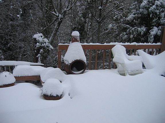 Back Yard in winter