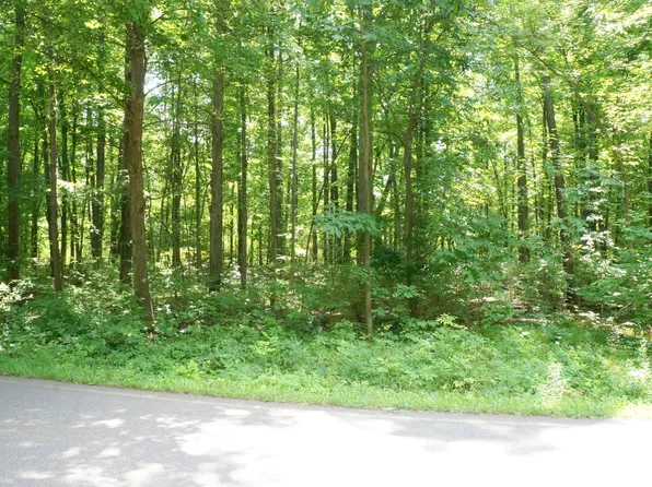 LOT 3 Leora Ln, Jackson, MI 49201