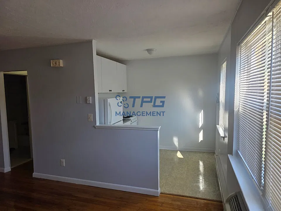 239 Spring St