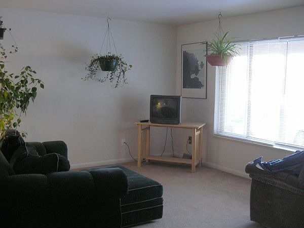 Sunny Living Room