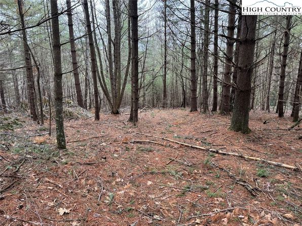 TBD John Baker Road, Crumpler, NC 28617