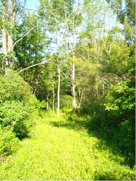 2nd image of 0 COUNTY RT 409