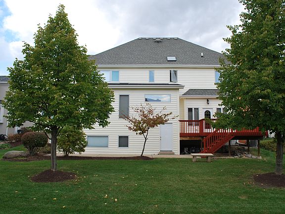 Back View