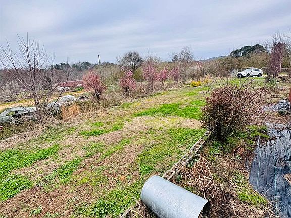 5th image of 229 Graham Rd