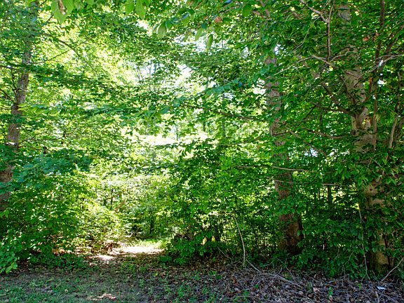 Wooded cul de sac site