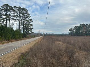 Williams Hill Rd, Hemingway, SC 29554