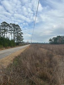 TBD Williams Hill Rd., Hemingway, SC, 29554