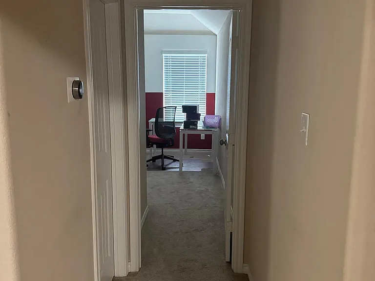 1117 Horsetail Dr — Photo 20
