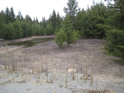 LOT 5 Moonshine Mountain Trl, Rexford, MT, 59930