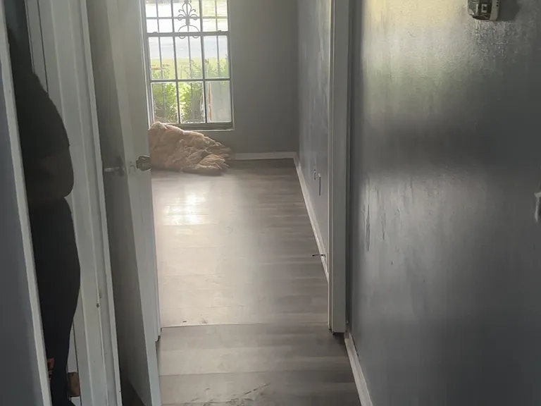 830 W Canyon Ct — Photo 17