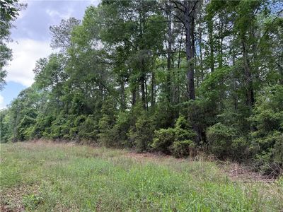 Gum Springs Loop, Hornbeck, LA, 71439