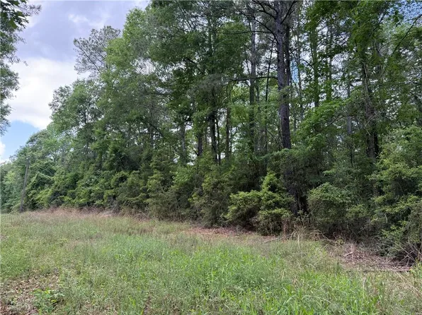 Gum Springs Loop, Hornbeck, LA 71439