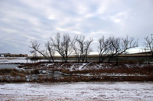 view from front yard during rare snow