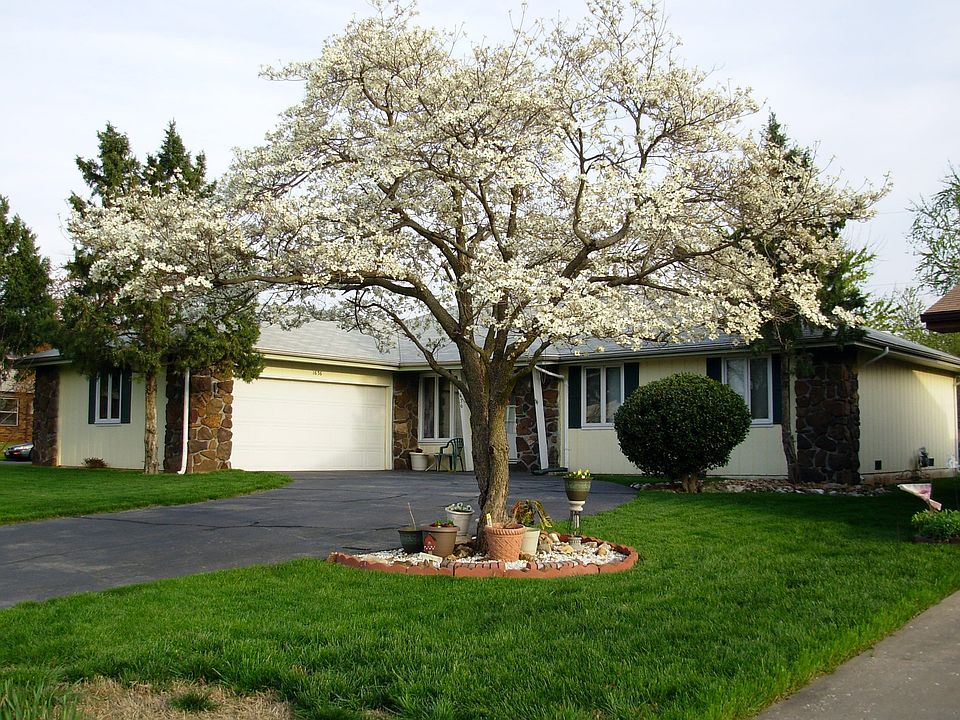 Beautiful landscaping