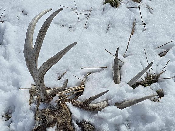 5th image of 47298 Honey Farm Road