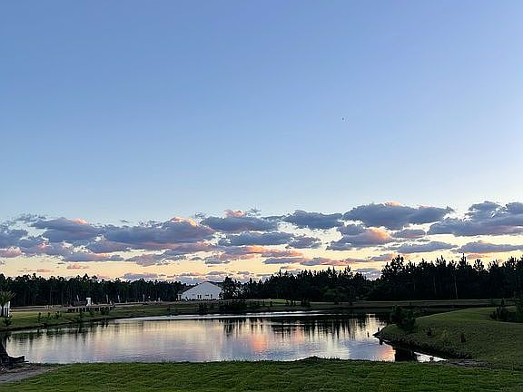 View from the patio.