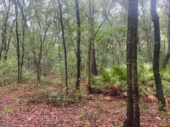 Tbd Delaware Avenue, Interlachen, FL 32148