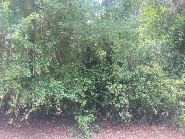 327 Palm Way, Georgetown, FL 32139