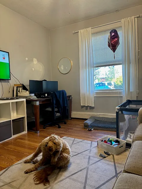 1 bed, 900 sqft, $2,250 — Photo 2