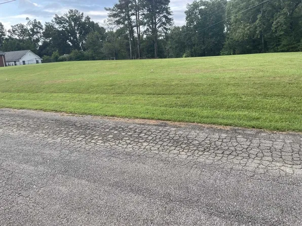 0 Caney Branch Rd #34, Adamsville, TN 38310