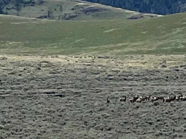 Nhn Garcon Gulch Rd, Hot Springs, MT 59845