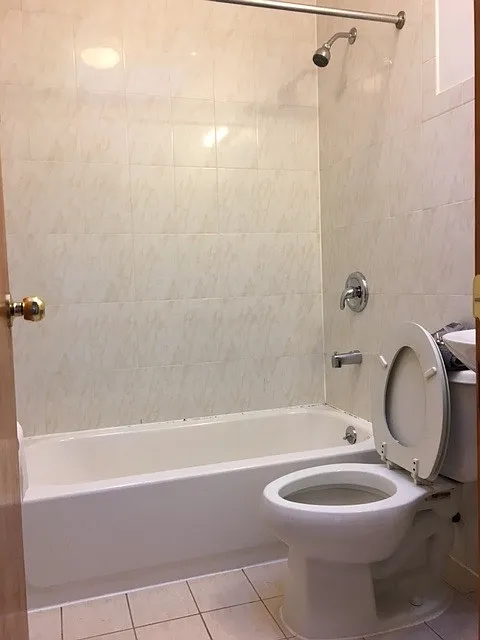Bathroom View from door