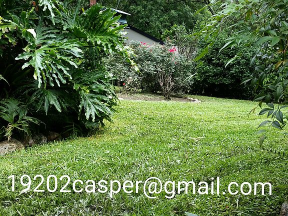 Gorgeous Private Backyard!