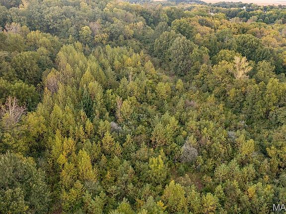 2nd image of 941 Page Branch Rd