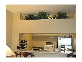 Rented by Judy Rubin RE