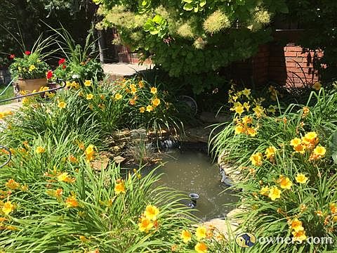 Front Porch Relaxation