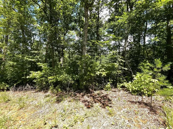 LOT 17 Big Cove Dr, Hiawassee, GA 30546