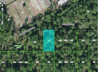 2884 W Starkist Ln, Dunnellon, FL 34433