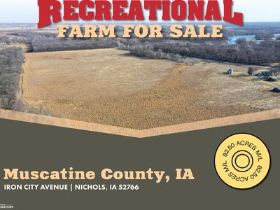 Iron City Ave, Nichols, IA, 52766