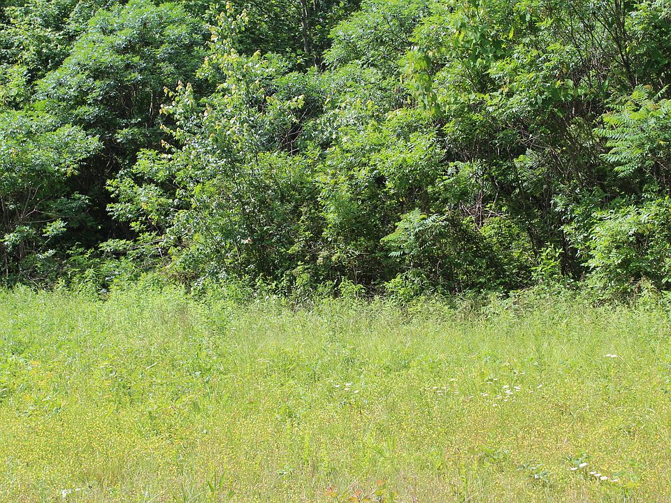 2nd image of Stone Cliff Acres