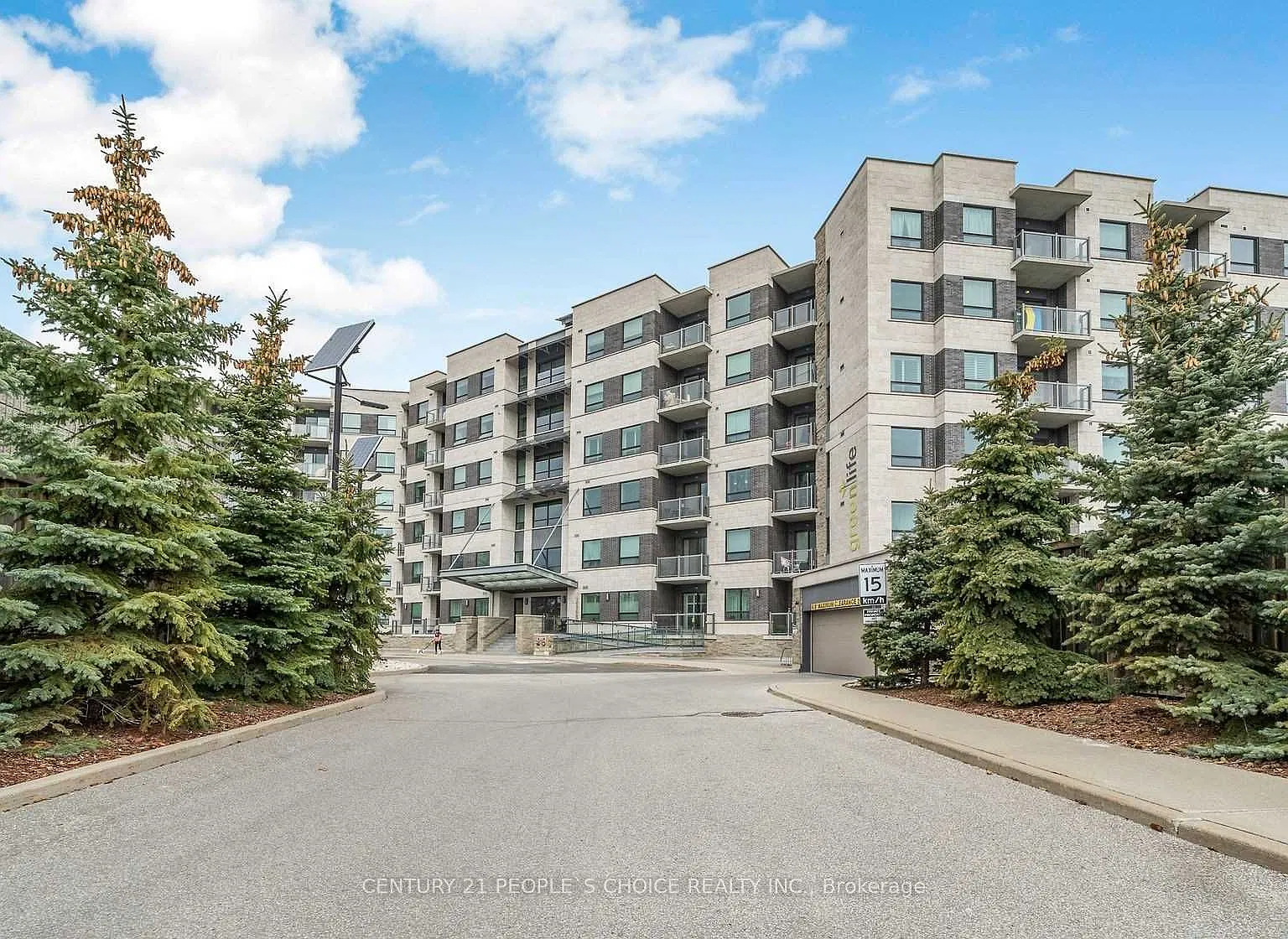 3 bed, $2,800 — Photo 2