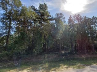 19692 Desna Dr, Porter, TX 77365