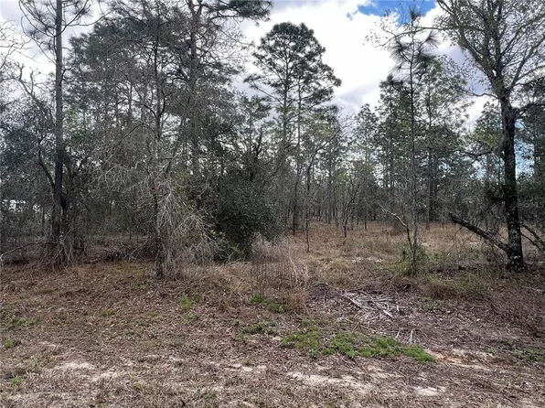 LOT 16 SE 136th Ter Lot 16, Dunnellon, FL 34431