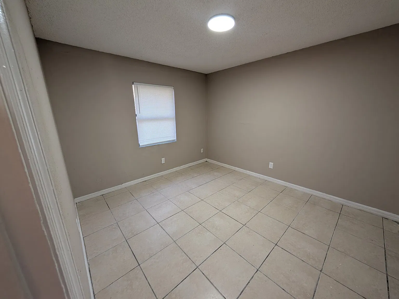 Spacious 3 Bedroom / 1 Bath Apartment in Tampa - Available Now & Pet-Friendly — Photo 4