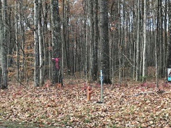 4th image of 15 Rocky Top Rd
