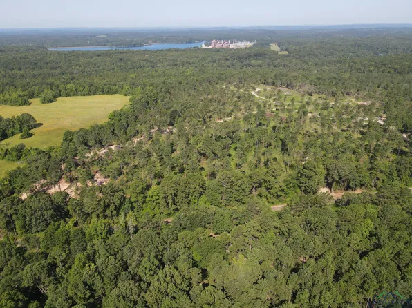 1631 Wilkes Power Plant Rd, Avinger, TX 75630