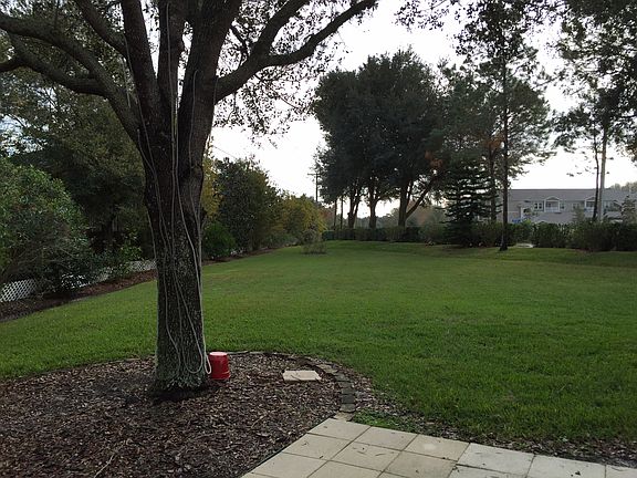 Looking from patio