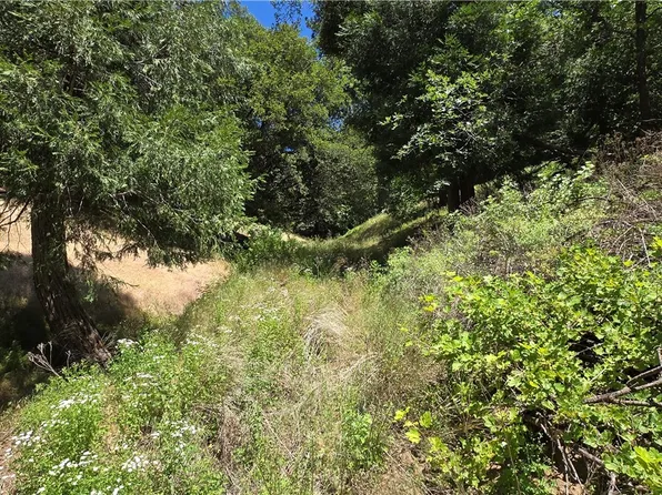 0 Hope Dr, Cedarpines Park, CA 92322