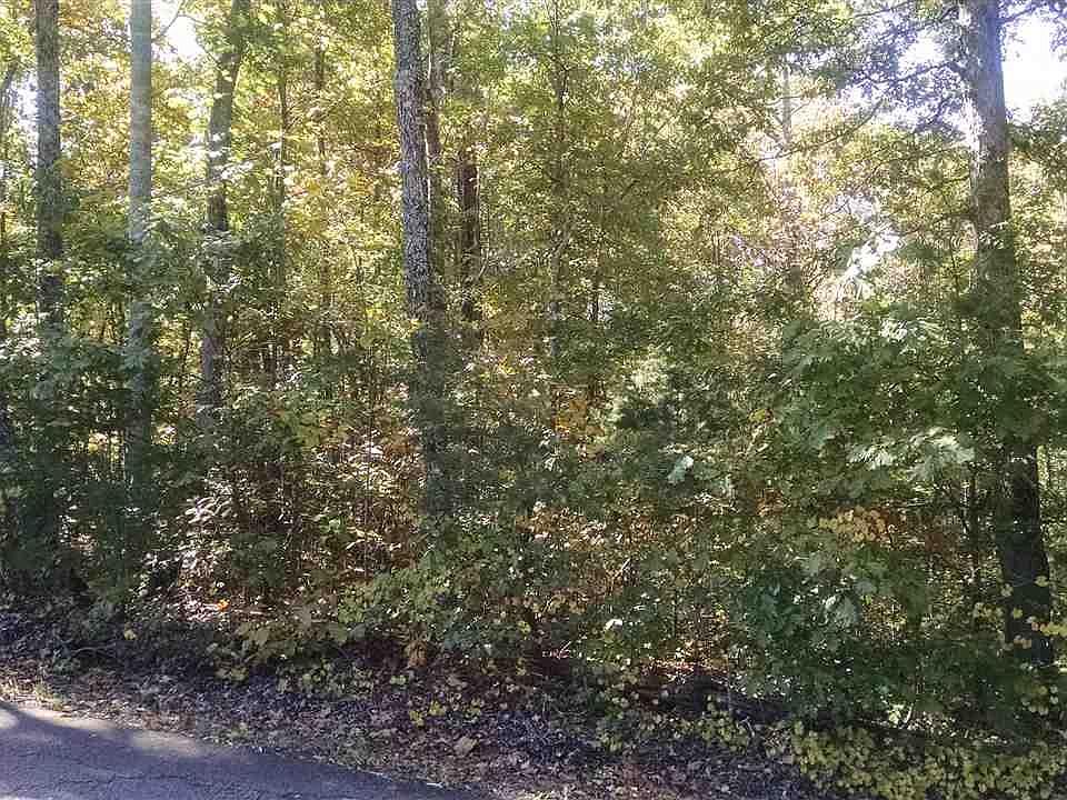 2nd image of Lyle Dr