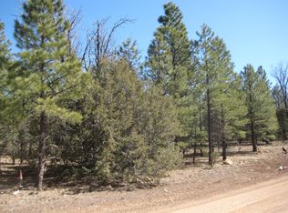 1711 Valley View Dr, Happy Jack, AZ 86024