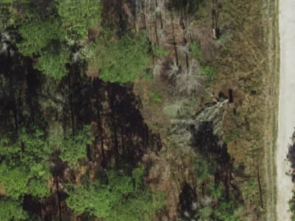 Powell St Lot 12, New Pt Richey, FL 34654