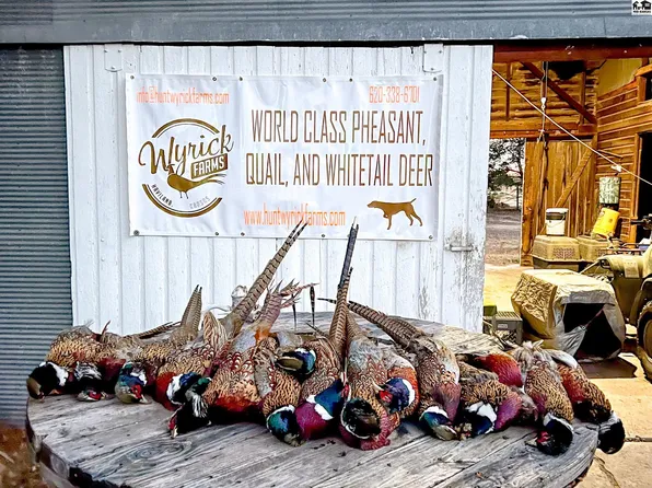 22428 49th Ave, Haviland, KS 67059