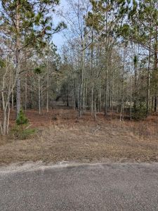 123 Case Rd, Sylvester, GA, 31791